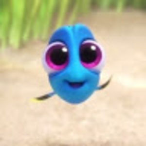 Meet your Posher, Ashlee